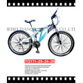 Bicicleta plegable / Bicicleta plegable / Bicicleta plegable